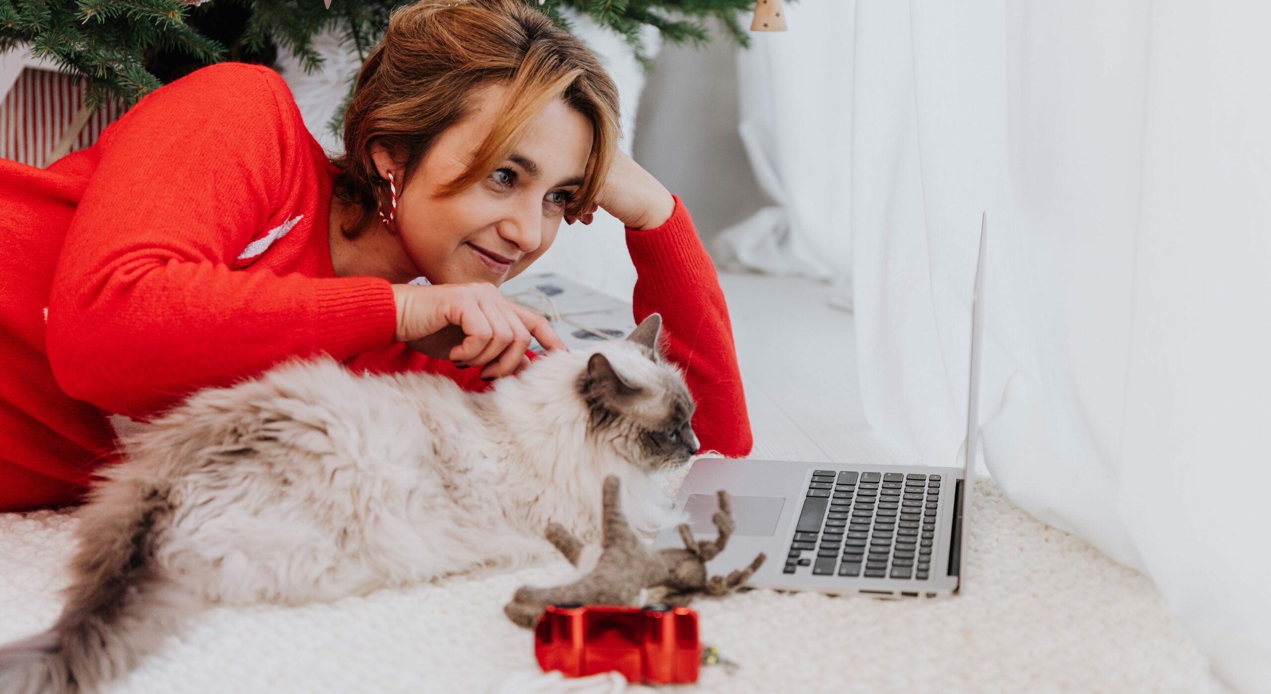 Survey: 81% of Pet Owners Buy Christmas Gifts for Dogs, Cats and